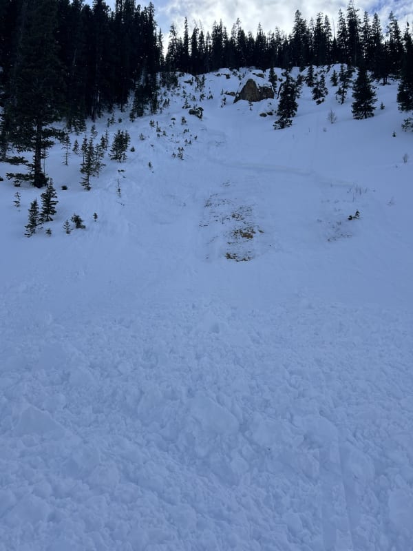 Observation photo 2