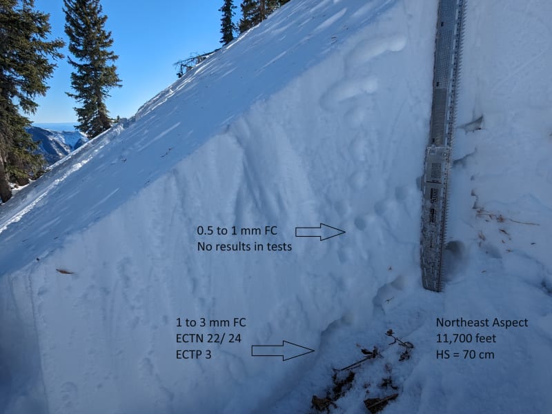 Observation photo 4