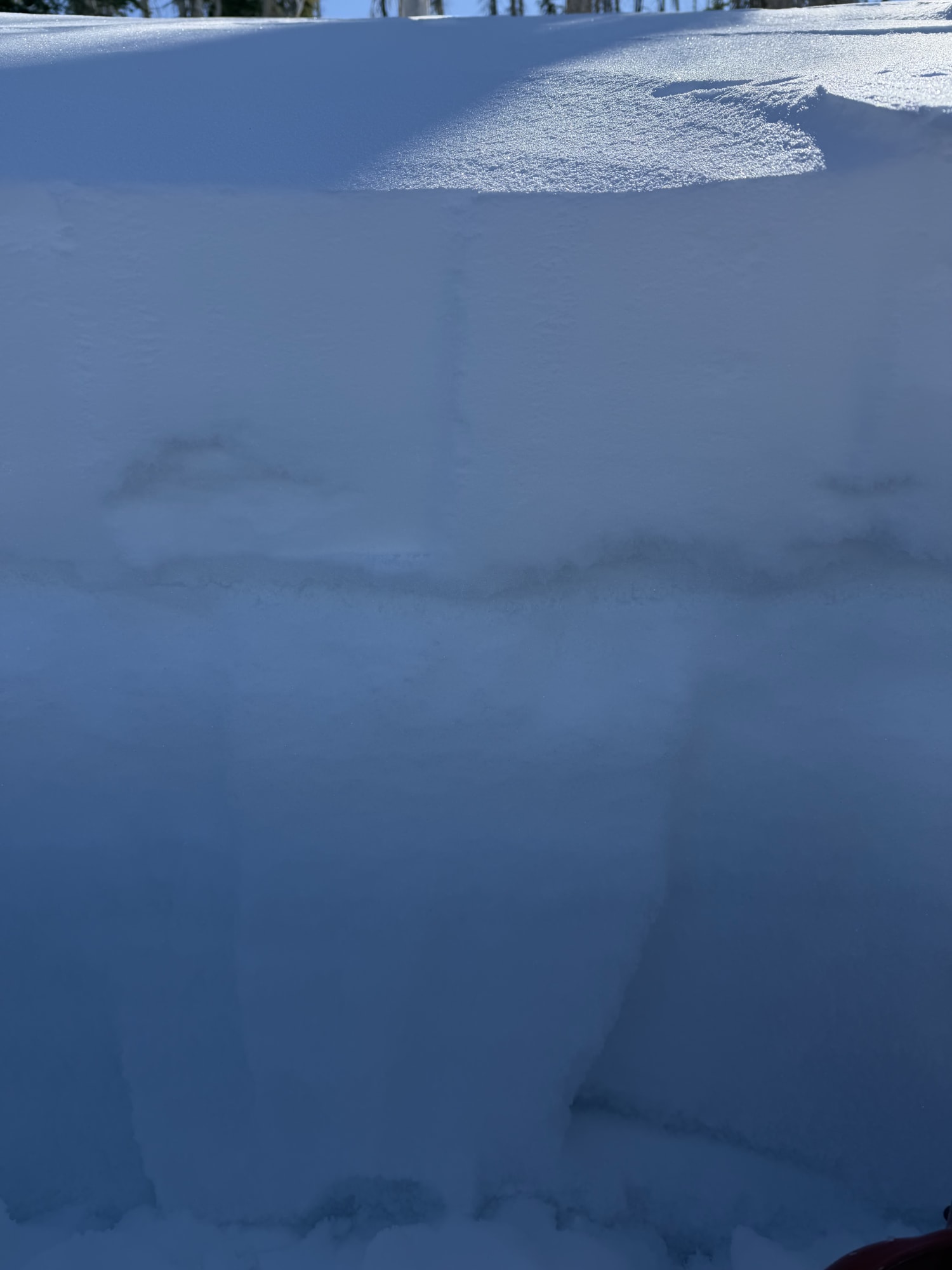 Observation photo