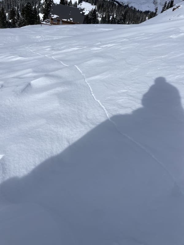 Observation photo 1