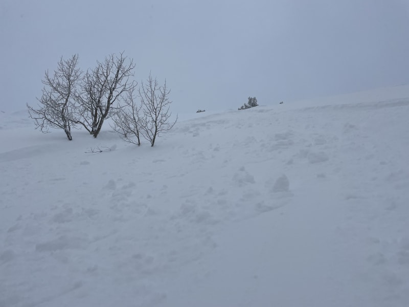 Observation photo 1