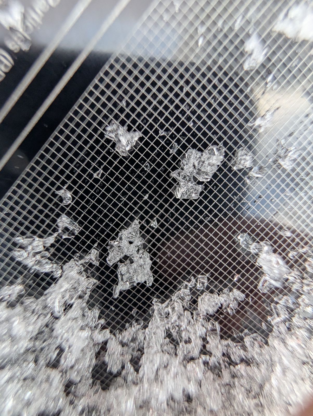 Observation photo