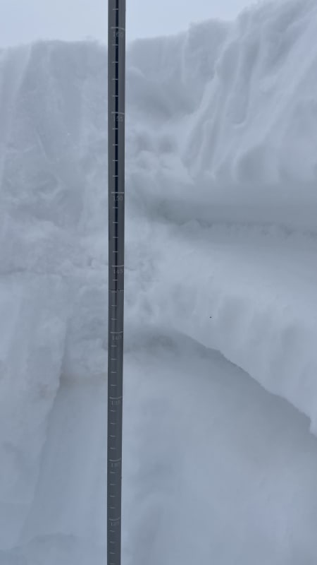 Observation photo 1