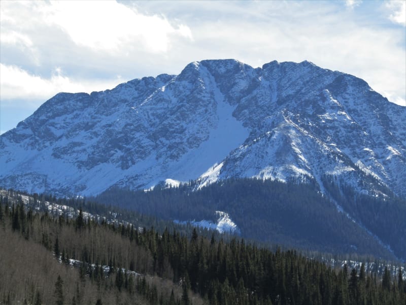 Observation photo 2