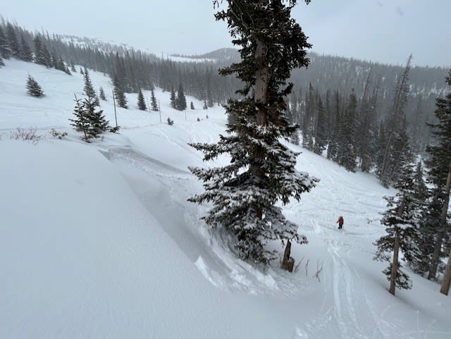 Observation photo 2