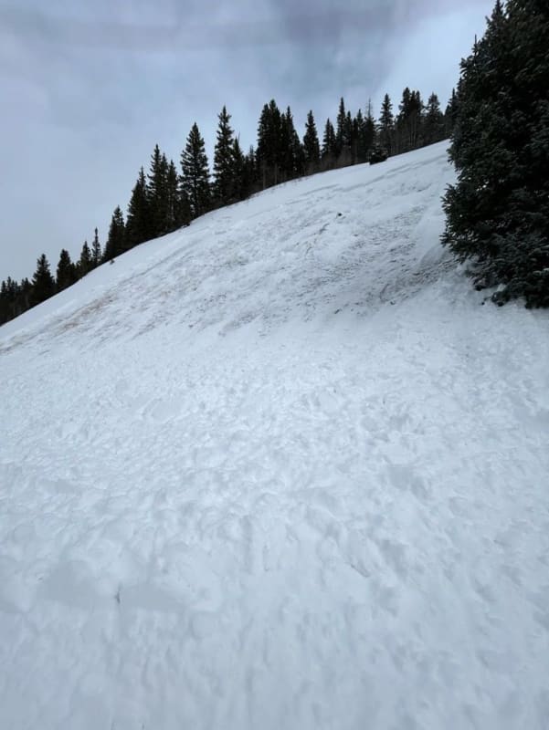 Observation photo 3