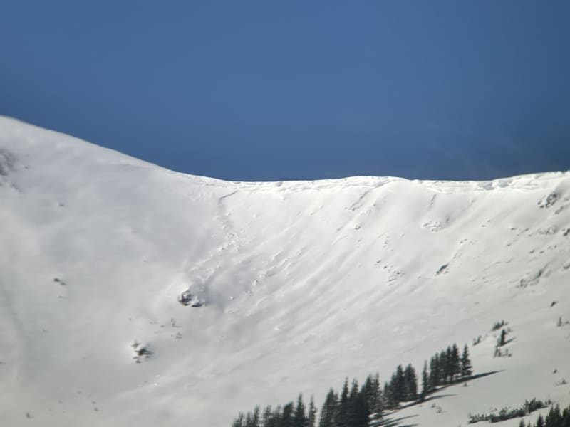 Observation photo 7