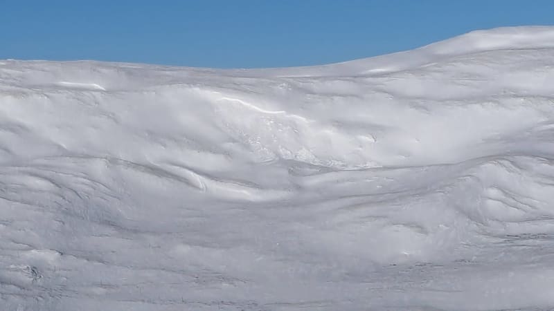 Observation photo 2