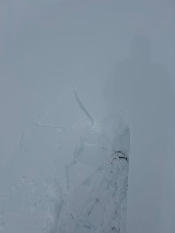 Observation photo 3