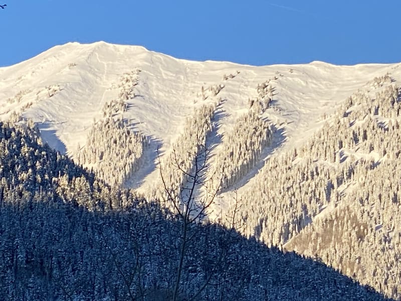 Observation photo 2