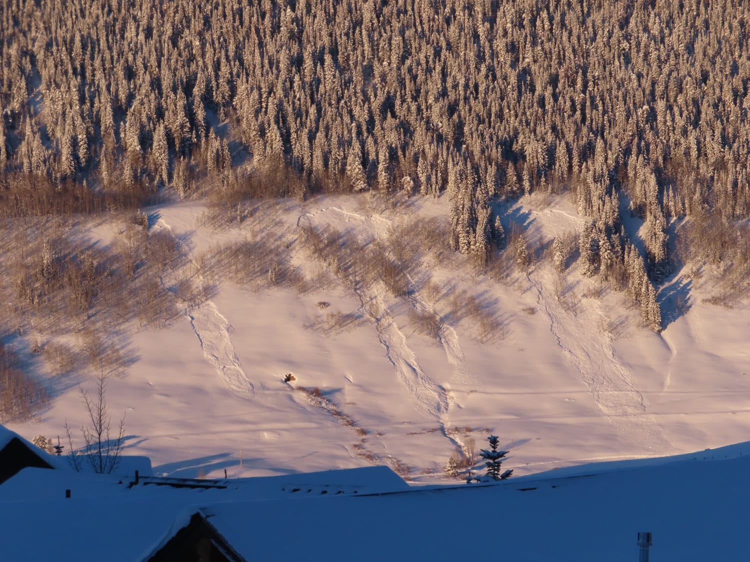 Observation photo
