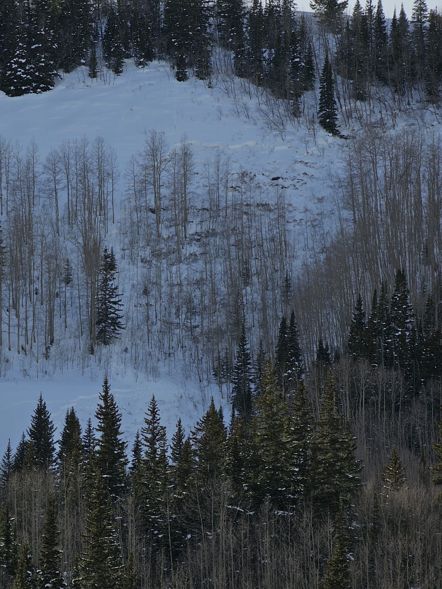 Observation photo