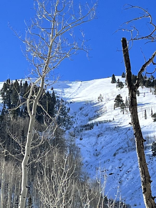Observation photo 1