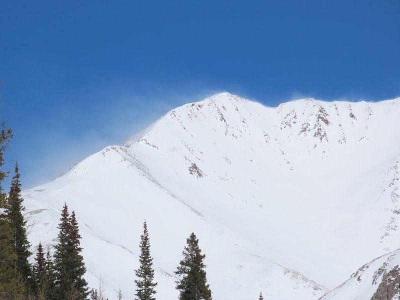 Observation photo 4