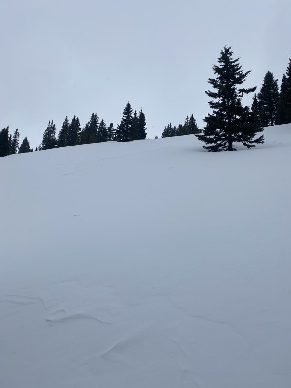 Observation photo 2