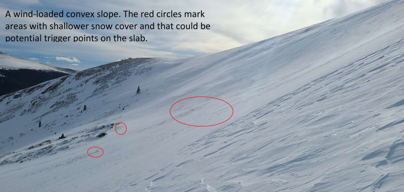 Observation photo 2