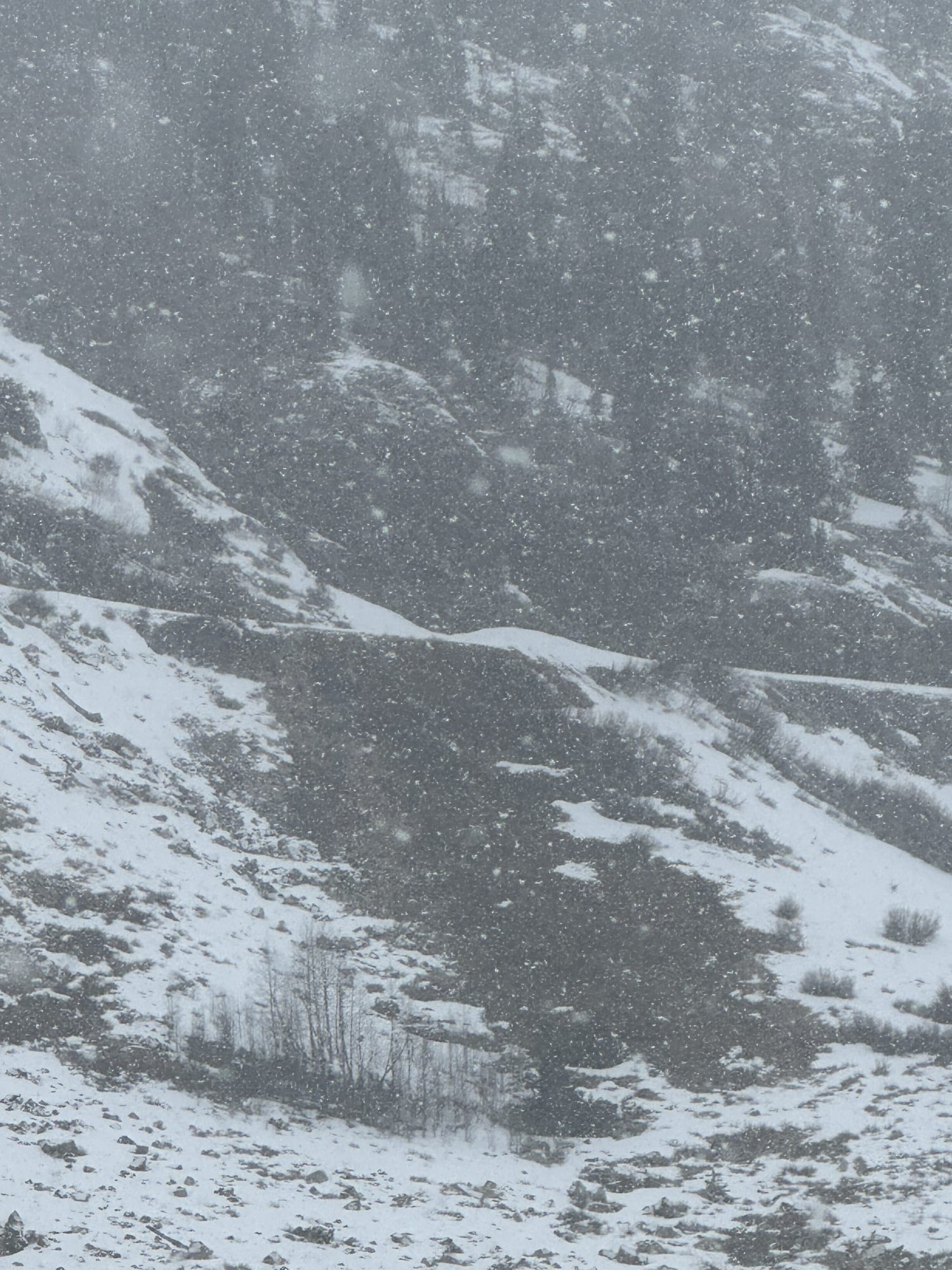 Observation photo