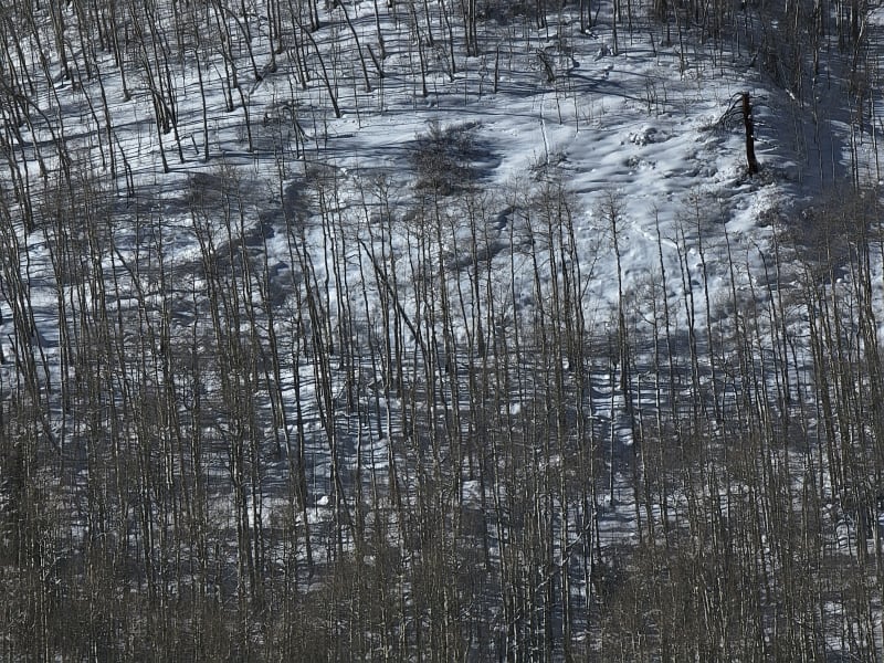 Observation photo 4