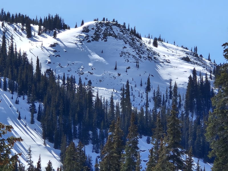 Observation photo 1