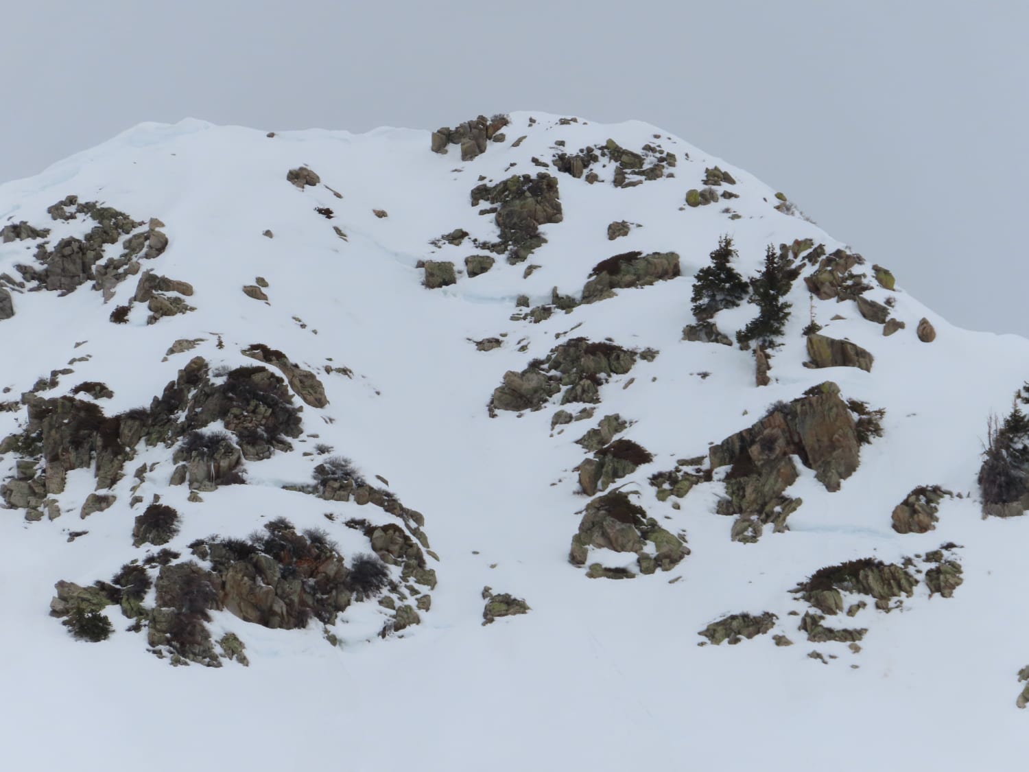 Observation photo
