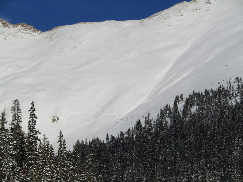 Observation photo 2