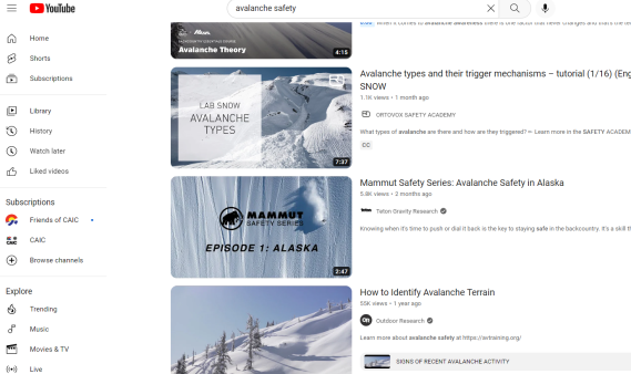 A grid of online avalanche education resources and course listings.
