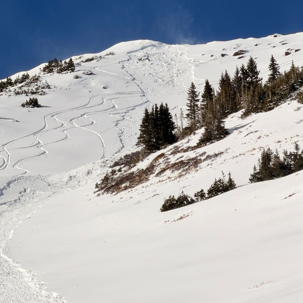 Steep, snow-covered slope showing a skier-triggered avalanche path with a visible crown near the ridgeline and debris running downslope past small clusters of trees.