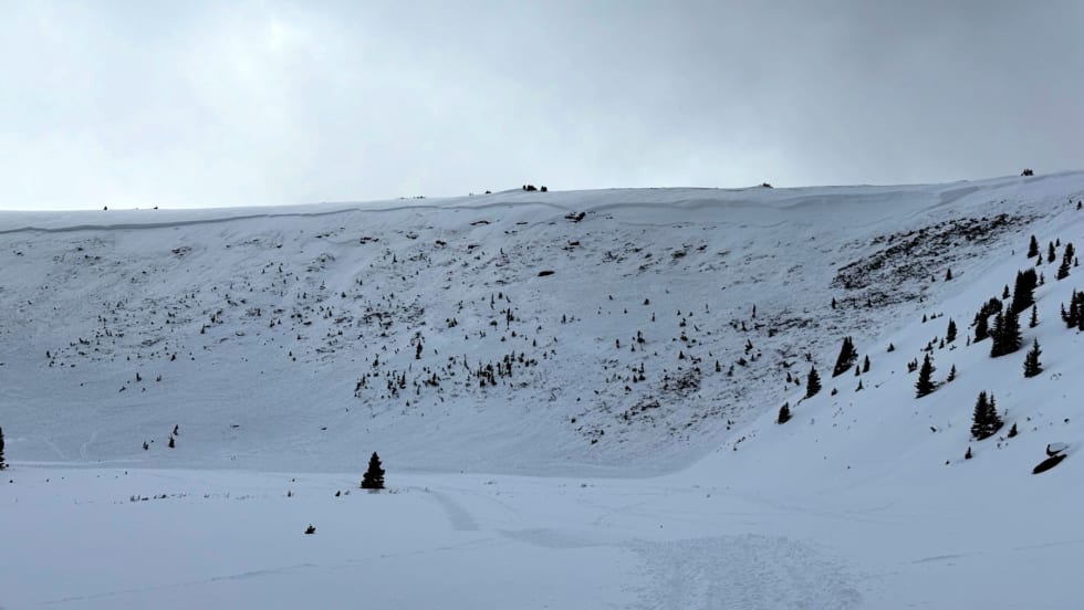 Wide avalanche path in a snowy alpine basin near Vail Pass, remotely triggered by snowmobilers from low-angle terrain.
