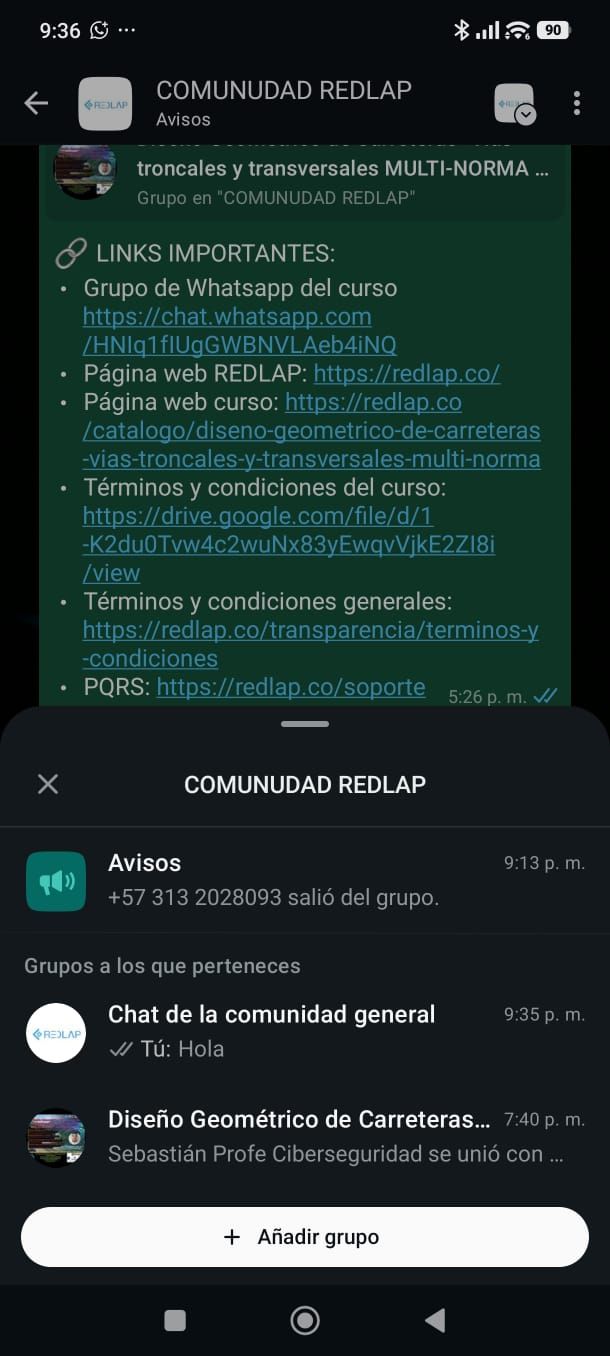 Estructura de subgrupos desplegados dentro de la Comunidad Redlap