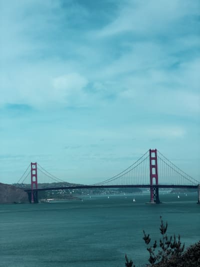 United States photograph