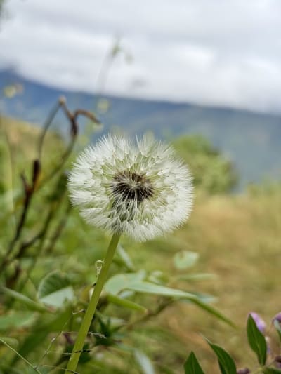 Peru photograph