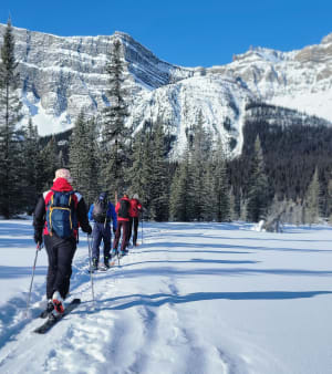 Skiing