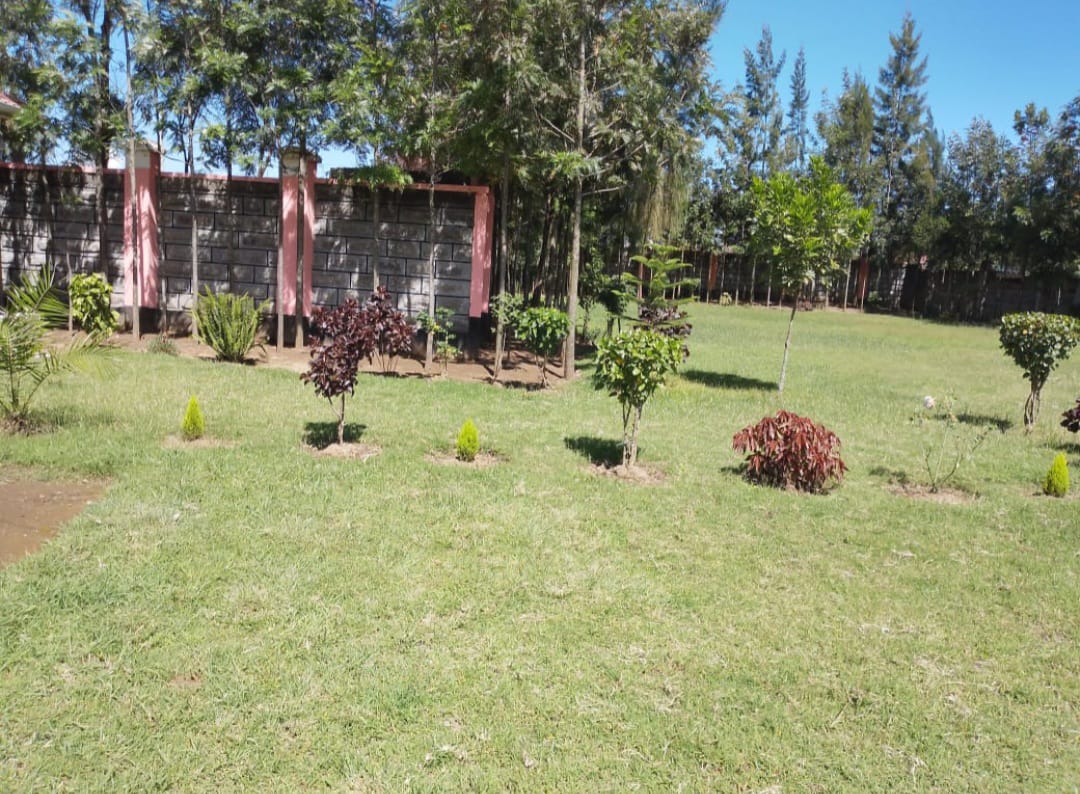 Compound 7
