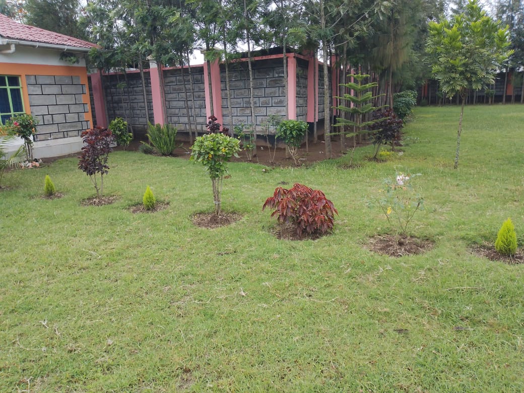 Compound 8