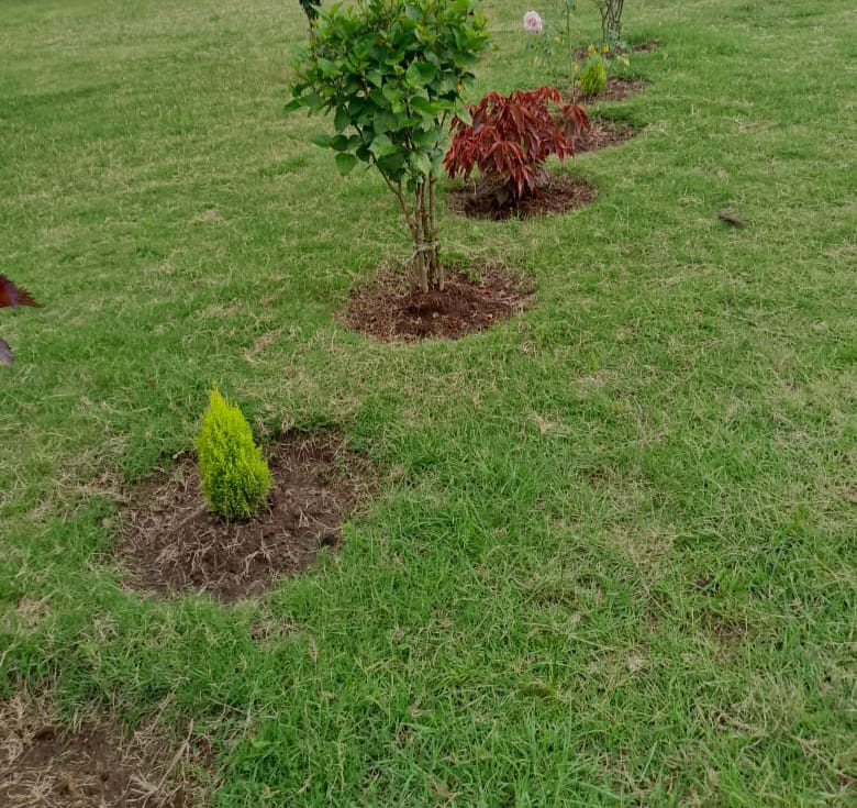 Compound 9
