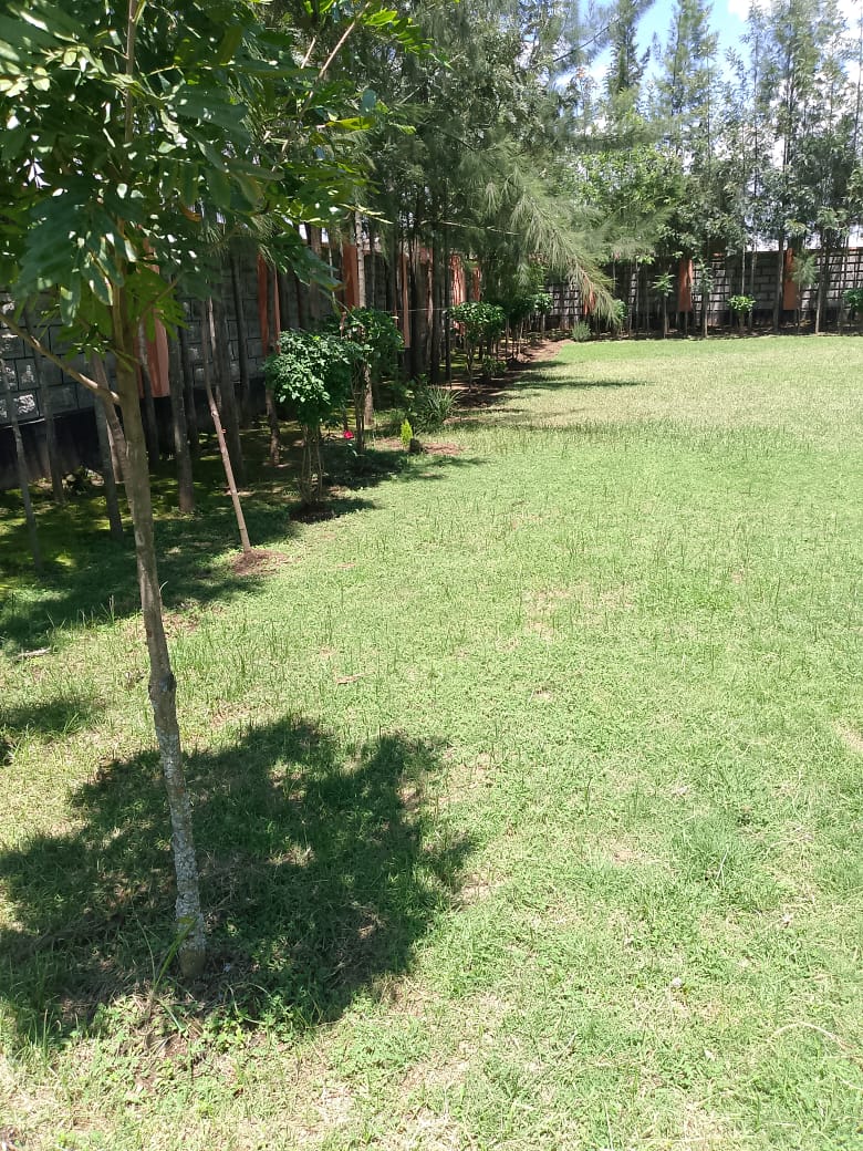 Compound 5