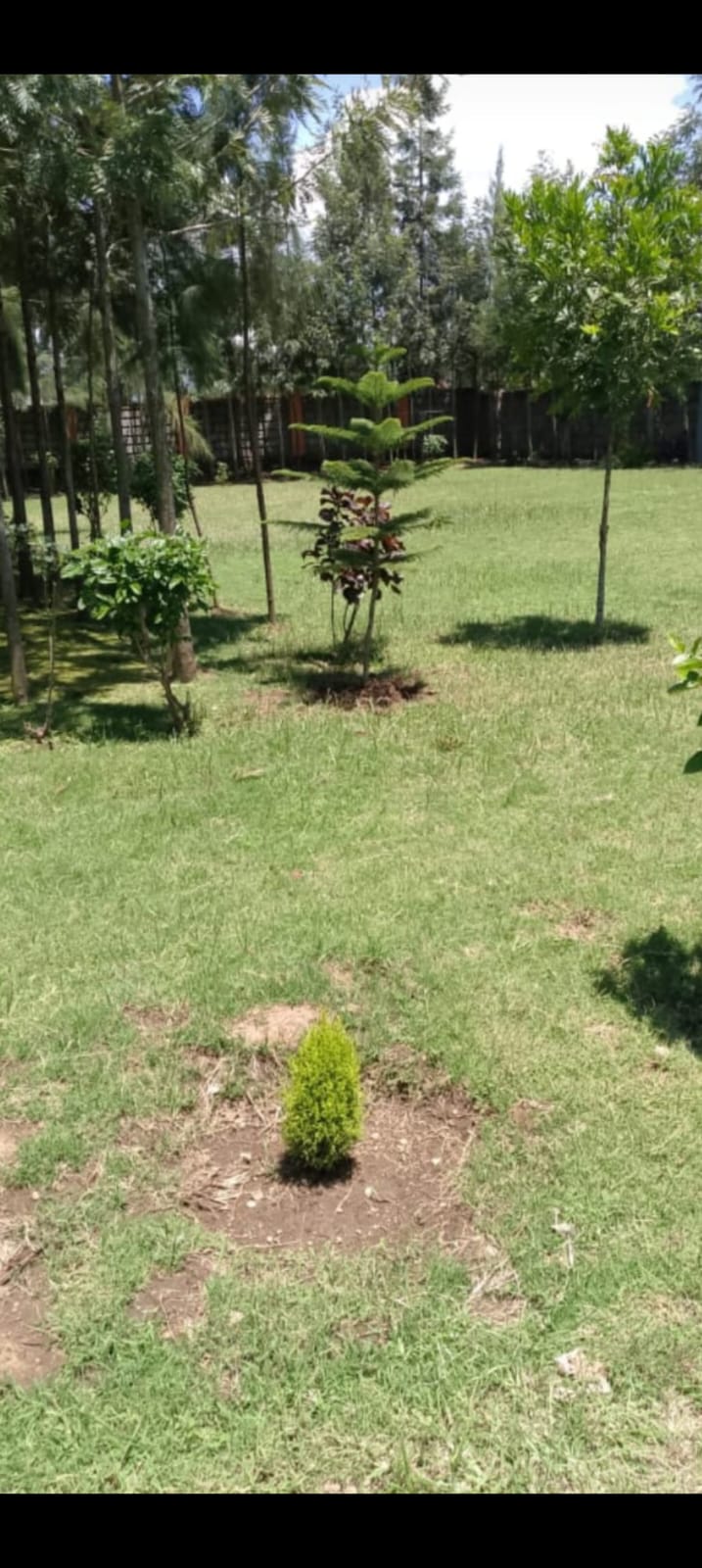 Compound 4