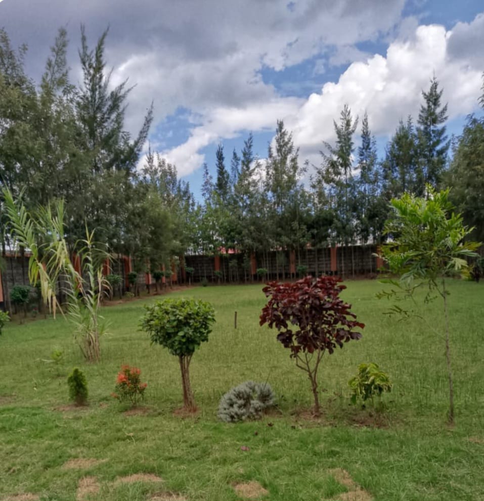 Compound 2