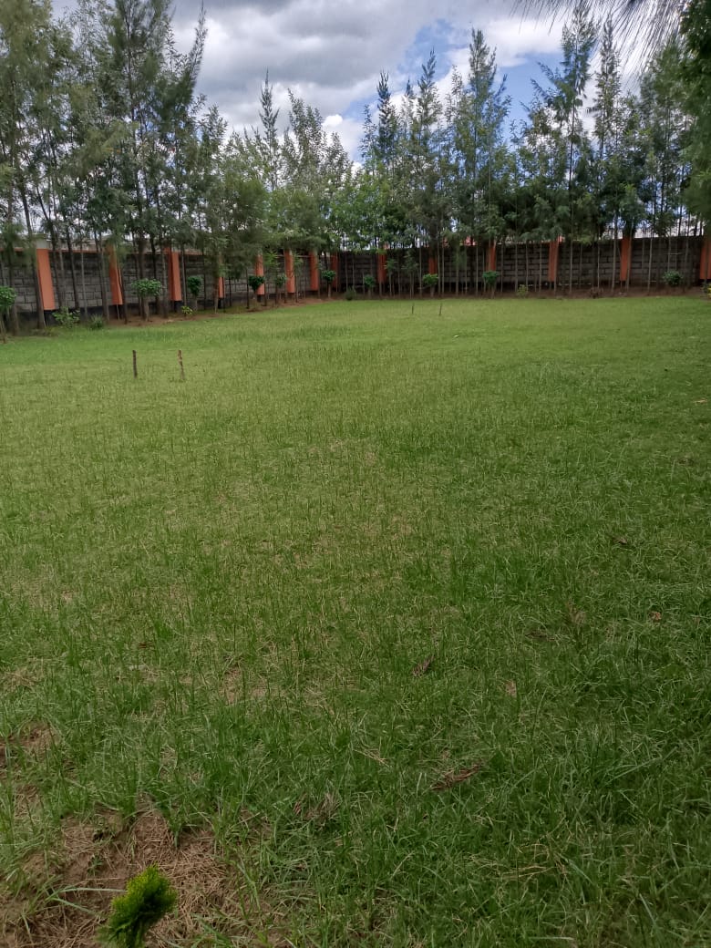 Compound 1