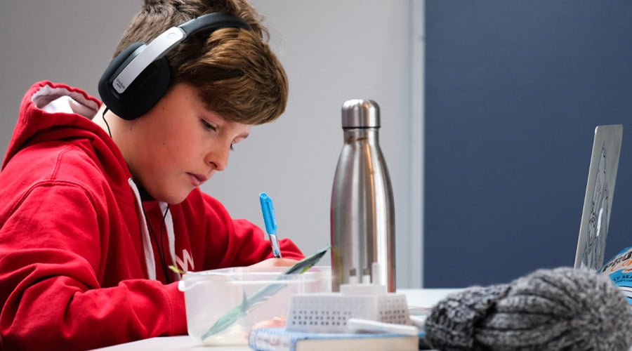 scholar learning from laptop