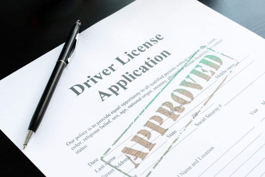 driver's licence