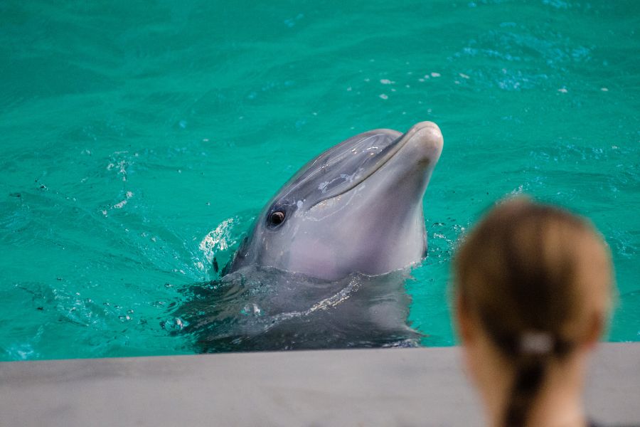 student visiting aquarium