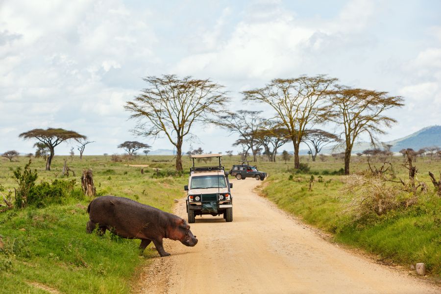 students on a safari game drive