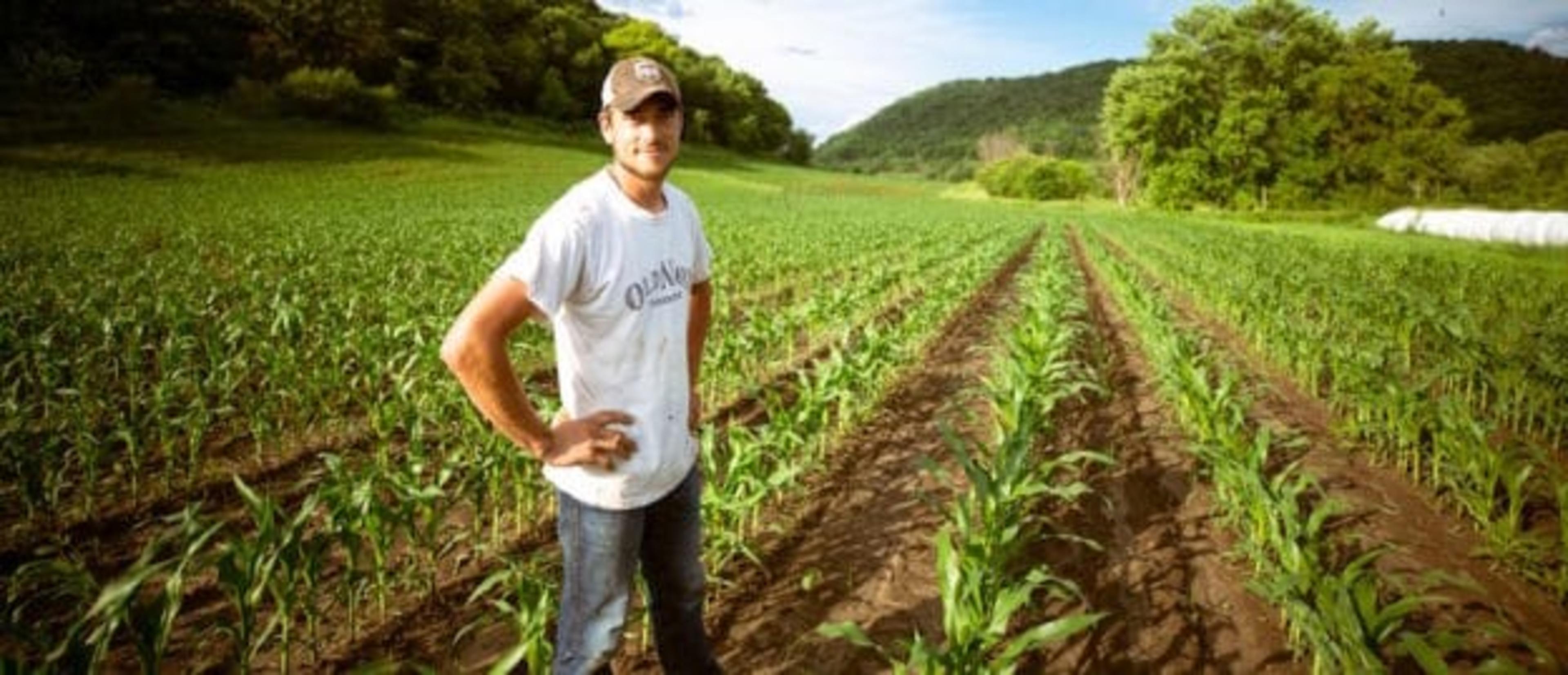 Farm Manager