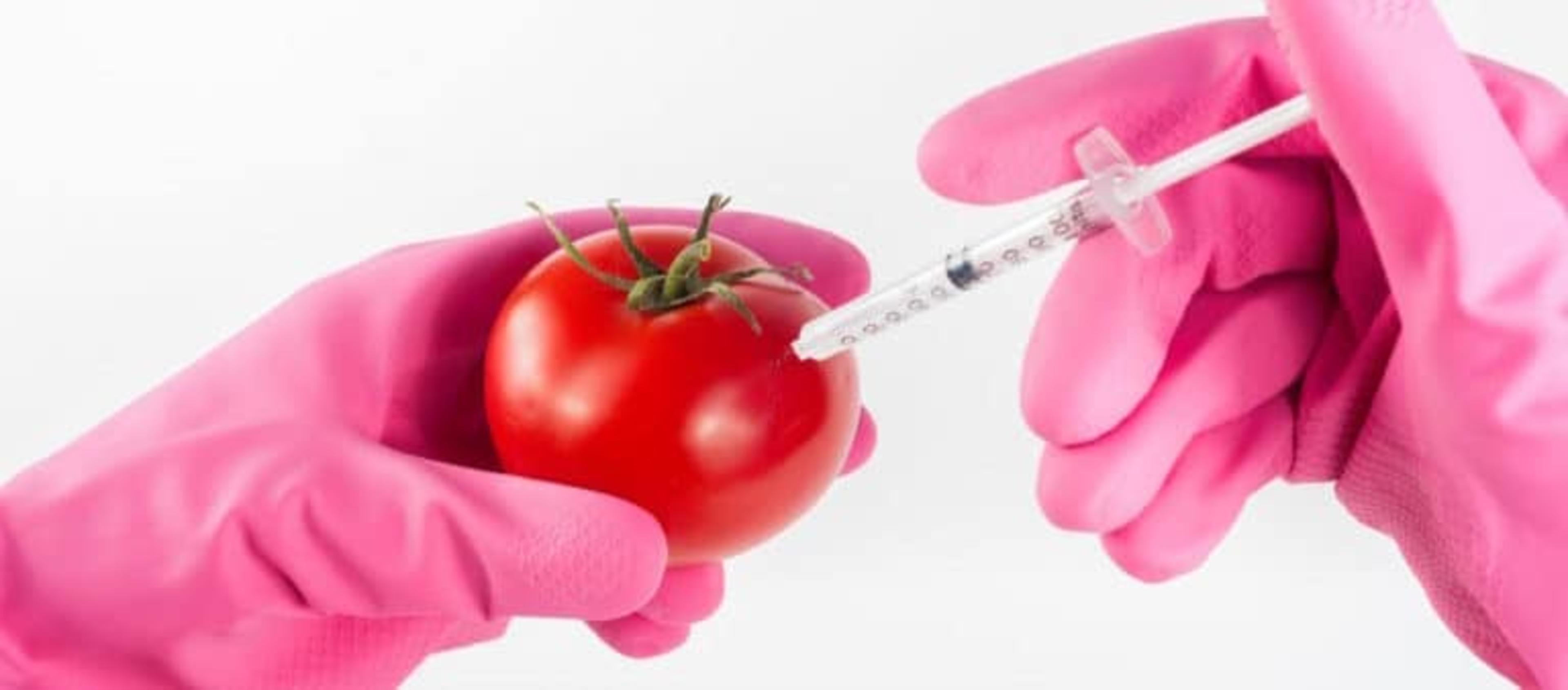 Food Technologist