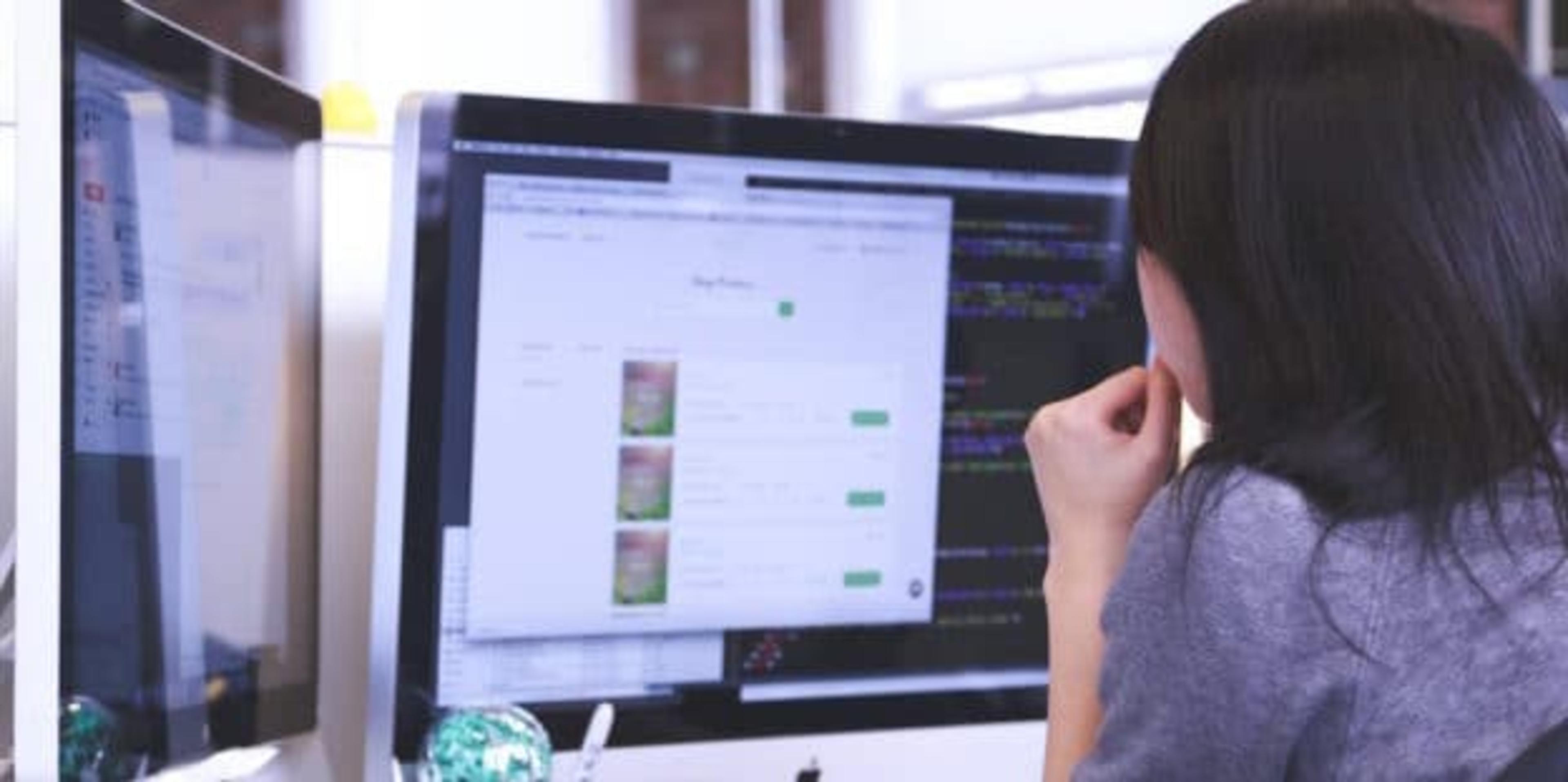 Web Developer