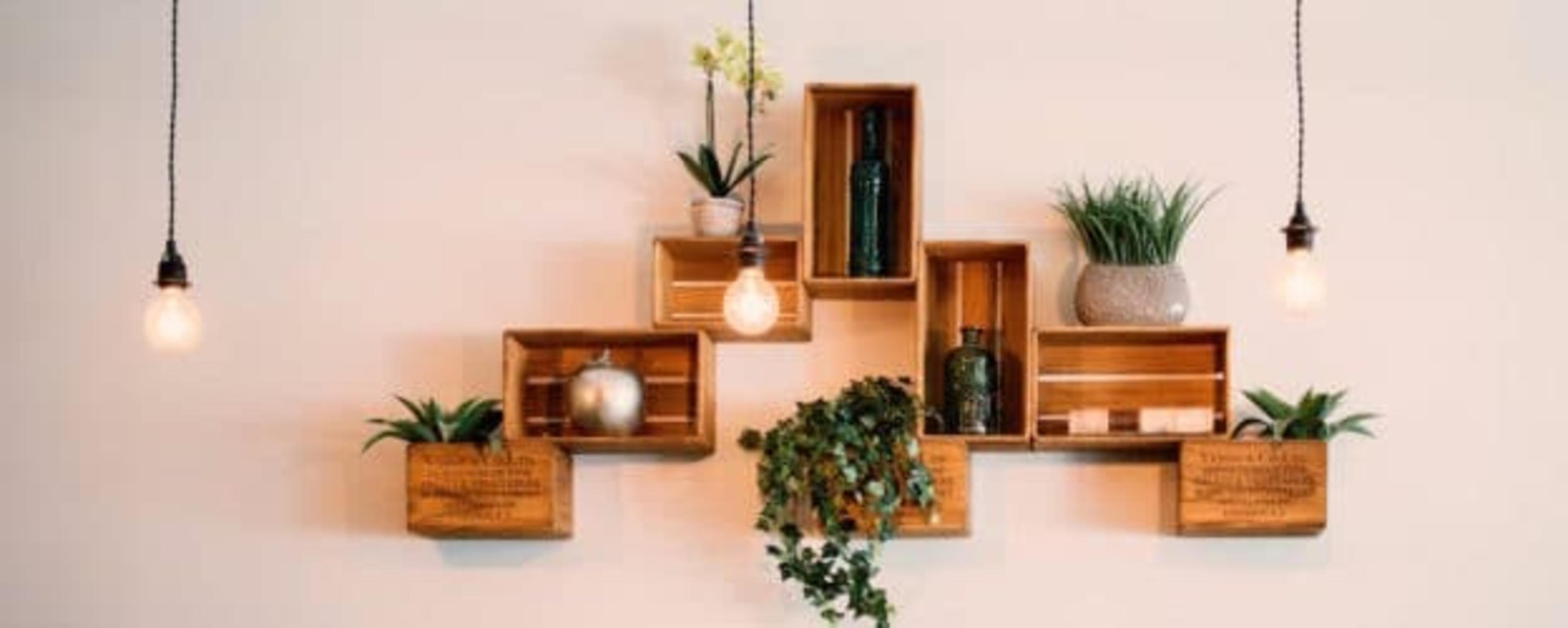 Interior Designer