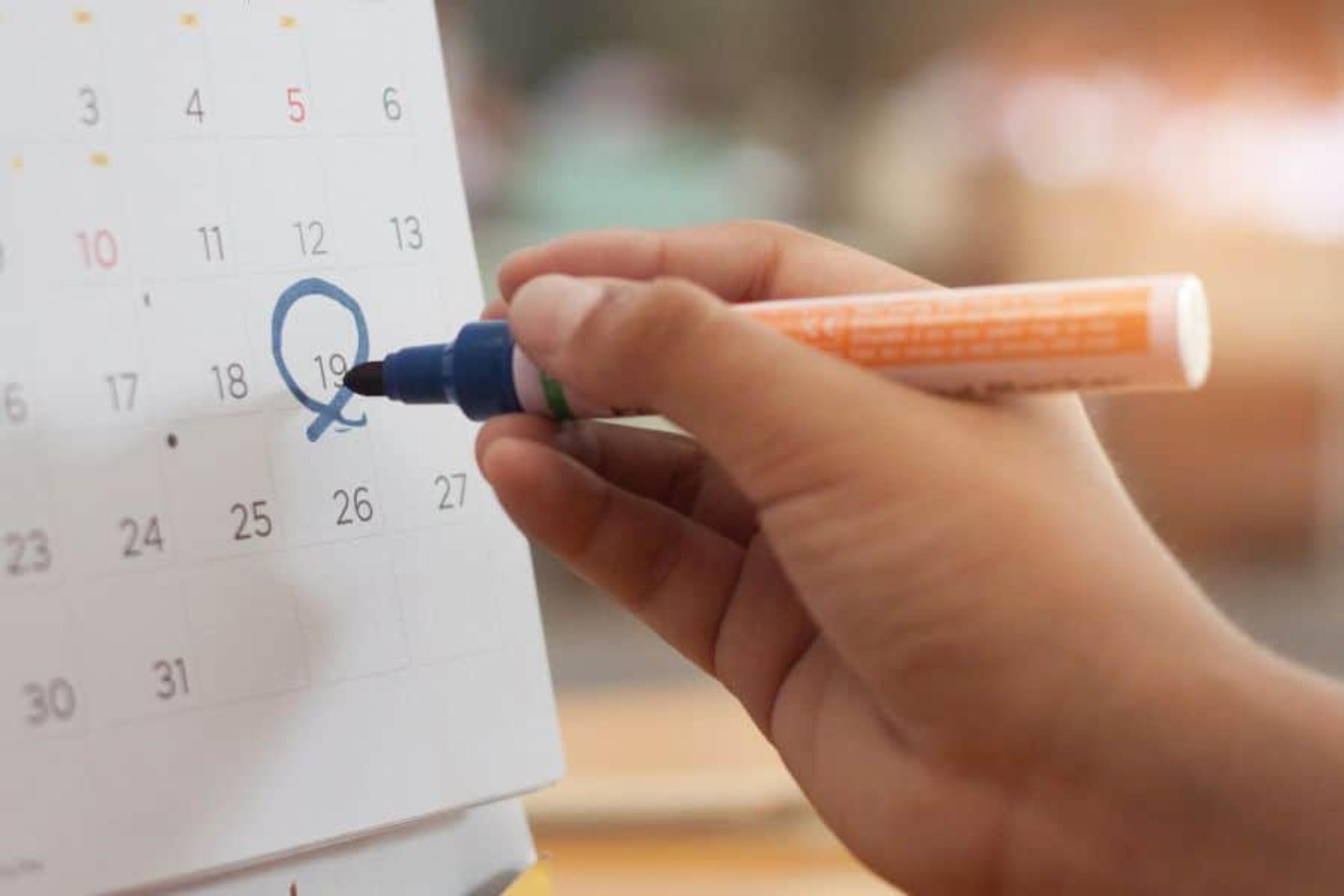 2026 South African School Calendar