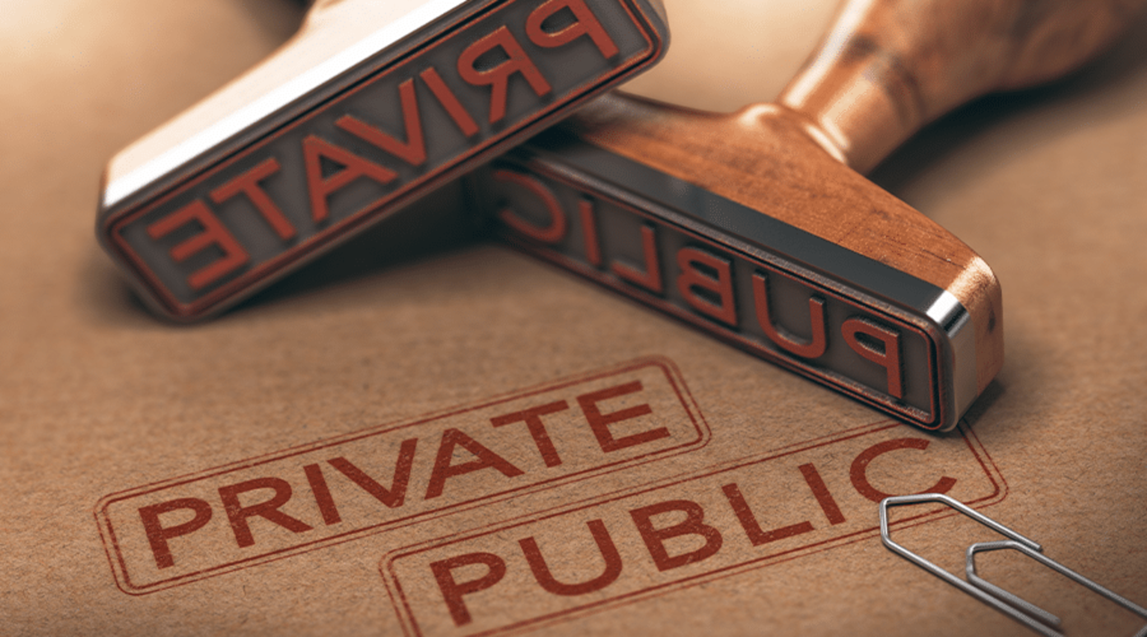 Private Versus Public Institutions