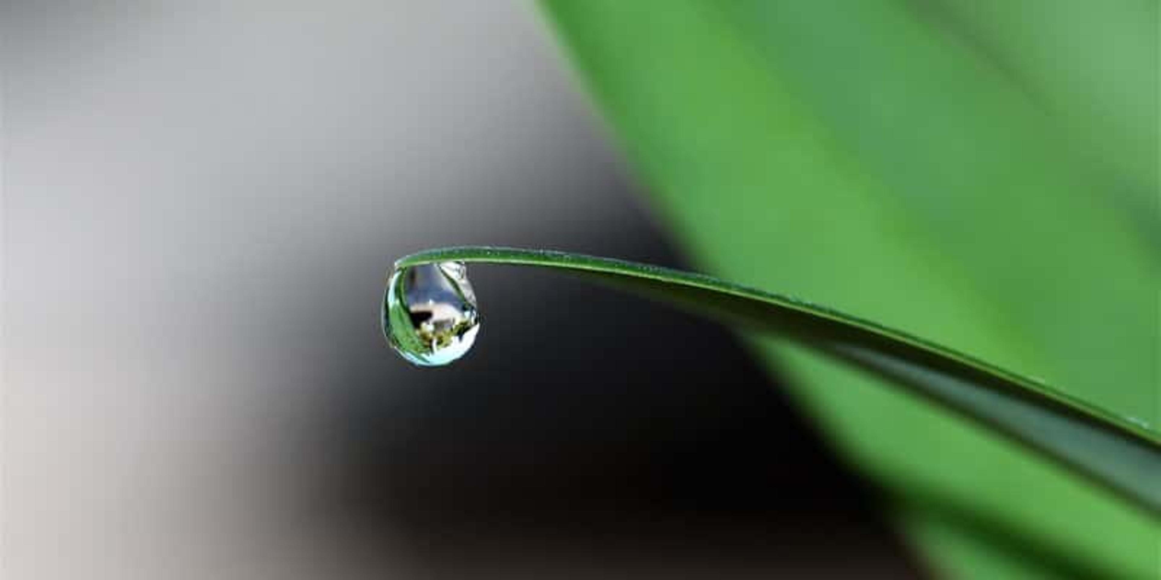 10 Easy Tips to Save Water